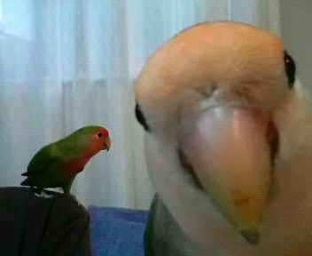 20080630-3.JPG