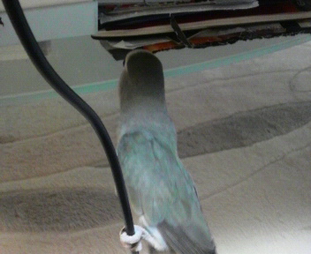 20080702-3.JPG