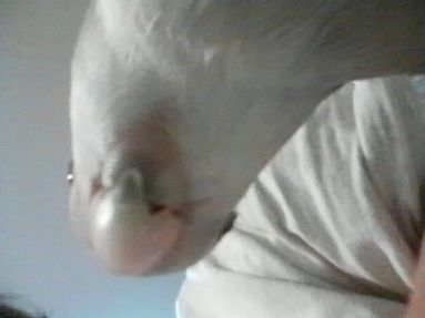 20080801-6.JPG