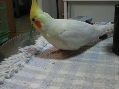 20080806-5.JPG