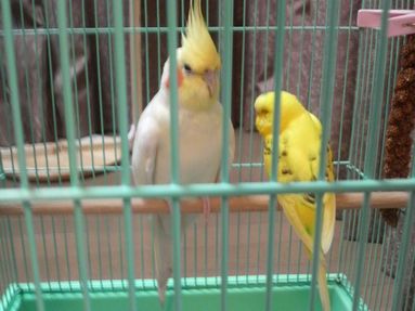 20080806-7.JPG