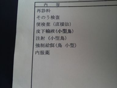 20080807-1.JPG