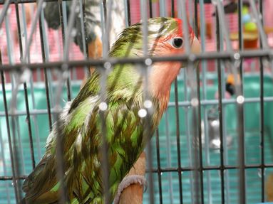 20080808-4.JPG