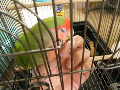 20080808-6.JPG