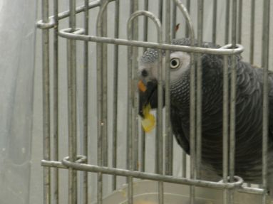 20080813-7.JPG