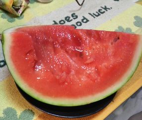 20080820-6.JPG