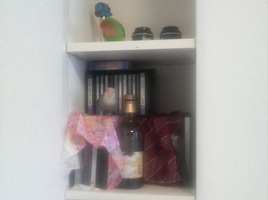20080820-7.JPG