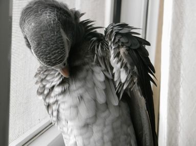 20080822-5.JPG