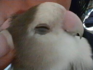 20080825-8.JPG