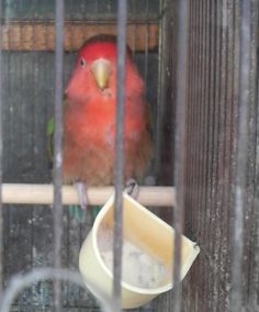 20080825-9.JPG