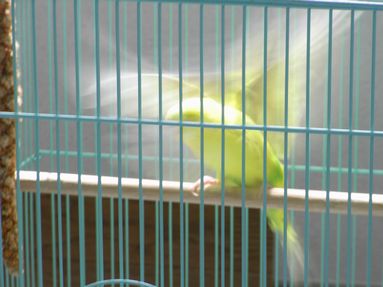 20080827-1.JPG