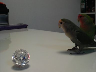 20080829-3.JPG