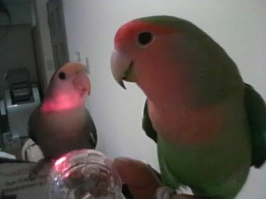20080829-4.JPG