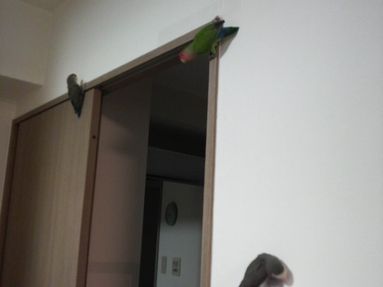 20080829-5.JPG
