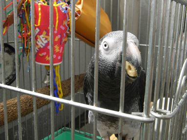 20080901-4.JPG