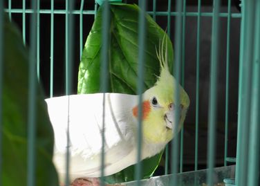 20080901-5.JPG