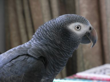 20080901-6.JPG