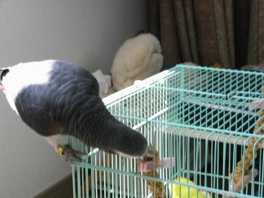 20080901-7.JPG