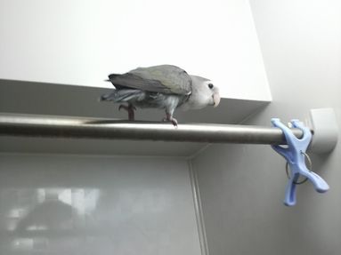 20080902-3.JPG
