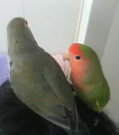 20080902-4.JPG