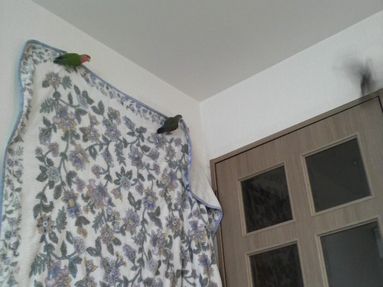 20080902-6.JPG