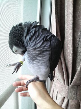 20080905-1.JPG
