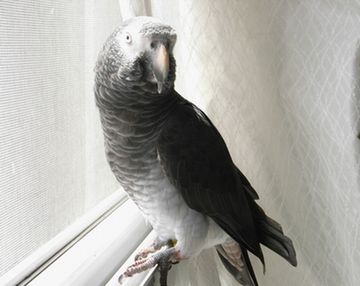 20080905-8.JPG