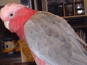 20080911-1.jpg