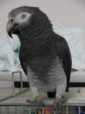 20080921-1.JPG