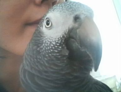 20080921-4.JPG