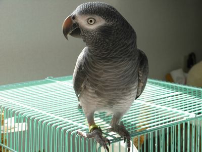 20080925-3.JPG
