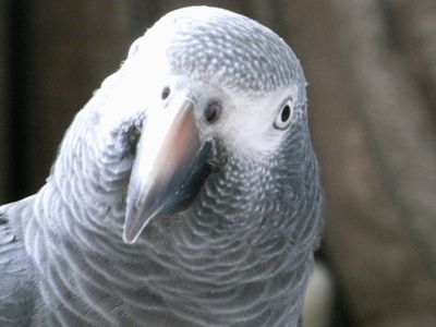 20080925-4.JPG