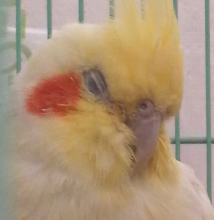 20081102-2-4.JPG