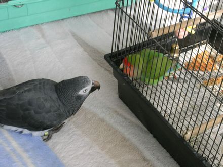 20081113-6.JPG