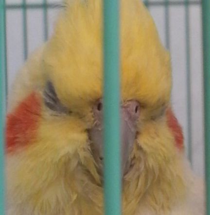 20081117-2.JPG