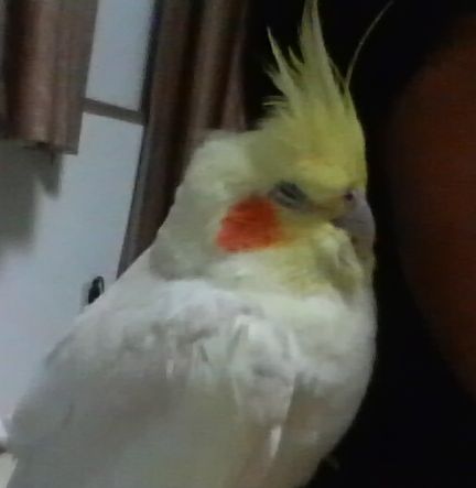 20081125-2.JPG