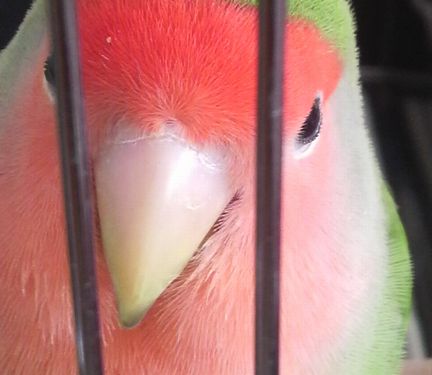 20081129-11.JPG