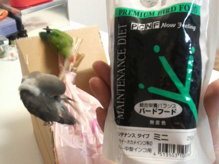 20081201-1.JPG