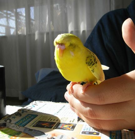 20081210-2.JPG