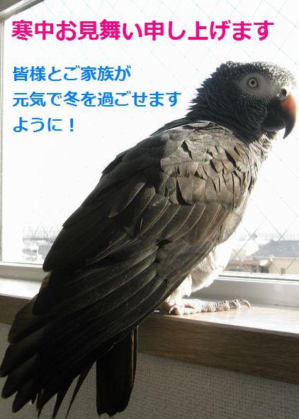 2009-0108-5.JPG