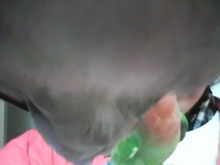 2009-0207-1.JPG
