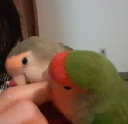 2009-0207-4.JPG