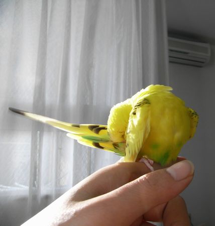 2009-0215-1.JPG