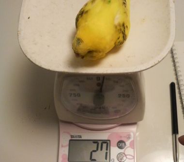 2009-0221-00.JPG
