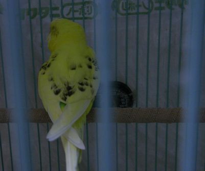 2009-0225-2.JPG