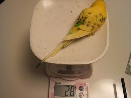 2009-0228-0.JPG
