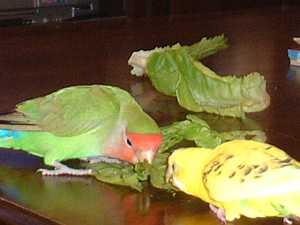 2009-0303-7.bmp