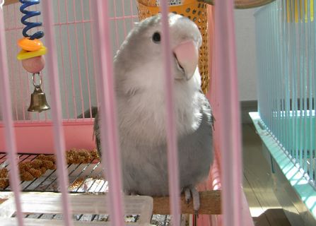 2009-0317-5.JPG