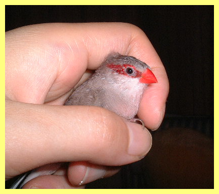 2009-0324-1.bmp