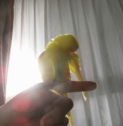 2009-0404-4.JPG